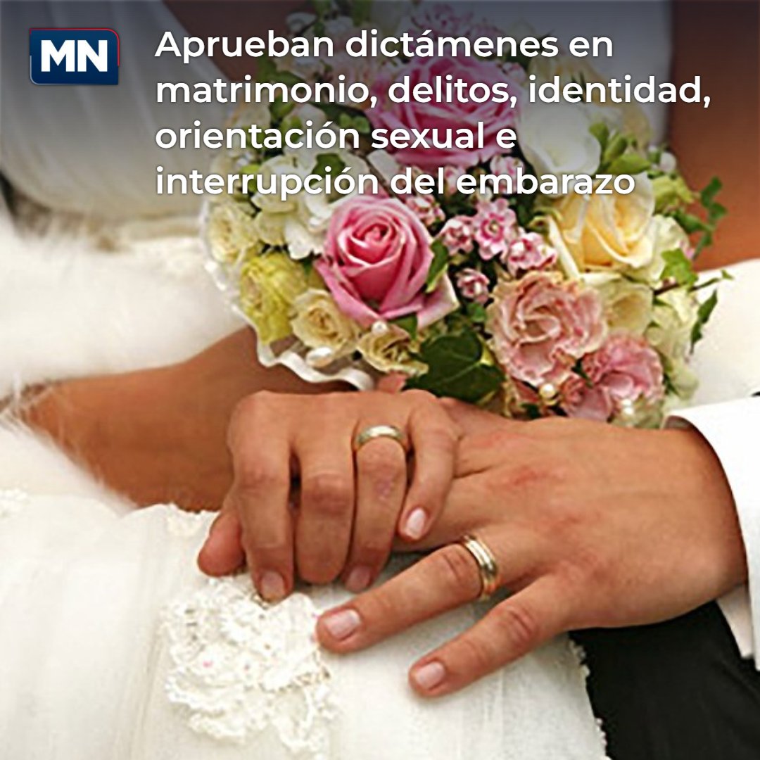 MeganoticiaLEON's tweet image. #ProgramasSociales🚨🚨En este dictamen se avalaron tres iniciativas de reforma al Código Penal estatal para incluir los delitos contra la expresión o identidad de género y la orientación sexual.
💻📲 Meganoticias.mx/leon
Más información 👇🏻
meganoticias.mx/leon/noticia/a…