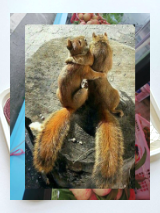 🥋237720Mosquito 5min bond repair glues 🦟, fast-stick 🛏️💨