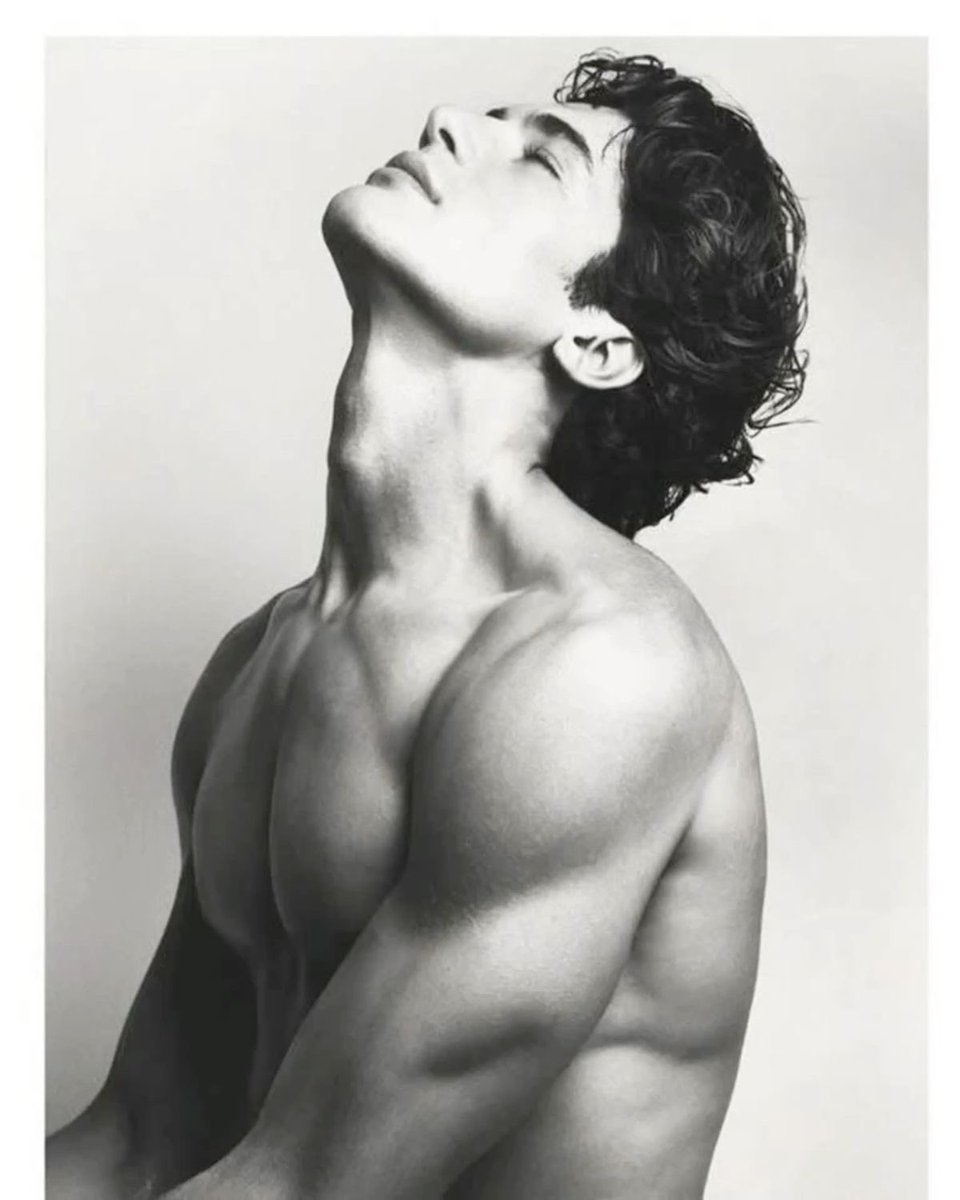 heartonthetable's tweet image. Sirius….