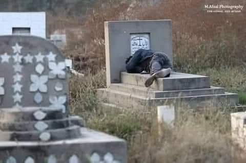 میت کو کہاں علم کہ اعزاز ملے ہیں 
پہلے ہی مجھے دے دیں مرے بعد کی عزت

(کومل جوئیہ)
#اردو_زبان