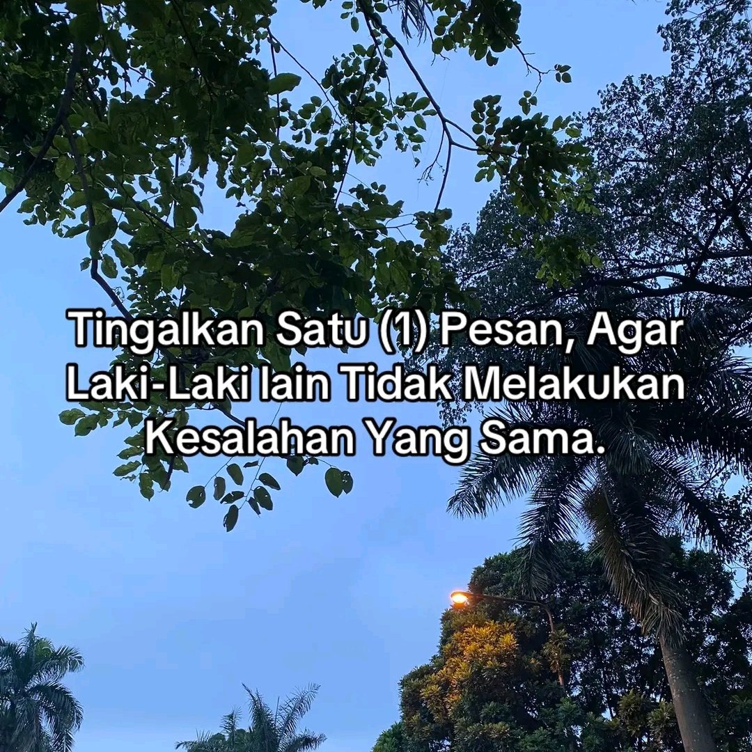 poconxg's tweet image. 