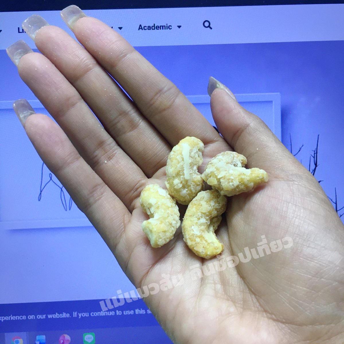 แม่แมวส้มห้าตัว|อ่านนิยายวาย tweet media