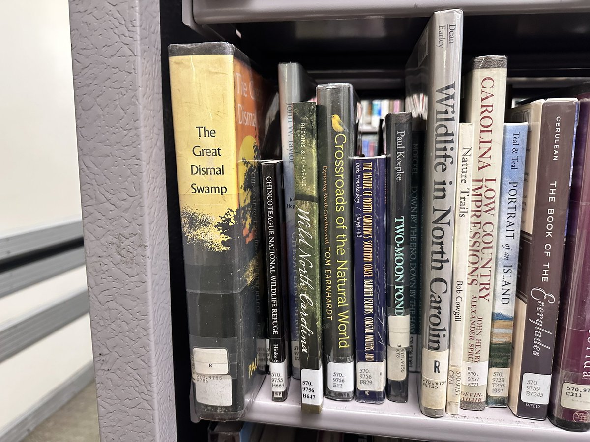 bentevviolet's tweet image. the lirbary is kinda #useful asf