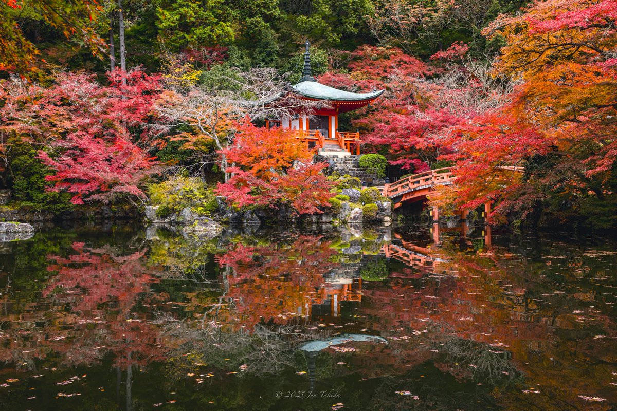man_tac's tweet image. 京都醍醐寺さんの紅葉🍁
弁天堂周りが見頃でした🤗
2025.11.19撮影

#京都よきかな 
Leica SL2-S x SIGMA 16-28mm F2.8 DG DN | Contemporary, 28-105mm F2.8 DG DN | Art