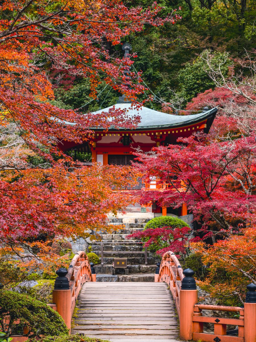man_tac's tweet image. 京都醍醐寺さんの紅葉🍁
弁天堂周りが見頃でした🤗
2025.11.19撮影

#京都よきかな 
Leica SL2-S x SIGMA 16-28mm F2.8 DG DN | Contemporary, 28-105mm F2.8 DG DN | Art