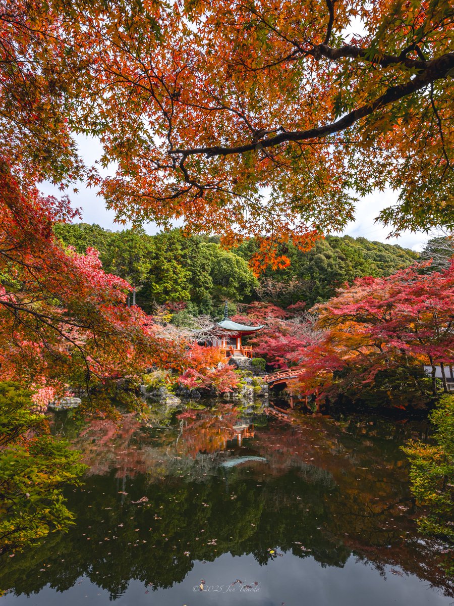 man_tac's tweet image. 京都醍醐寺さんの紅葉🍁
弁天堂周りが見頃でした🤗
2025.11.19撮影

#京都よきかな 
Leica SL2-S x SIGMA 16-28mm F2.8 DG DN | Contemporary, 28-105mm F2.8 DG DN | Art