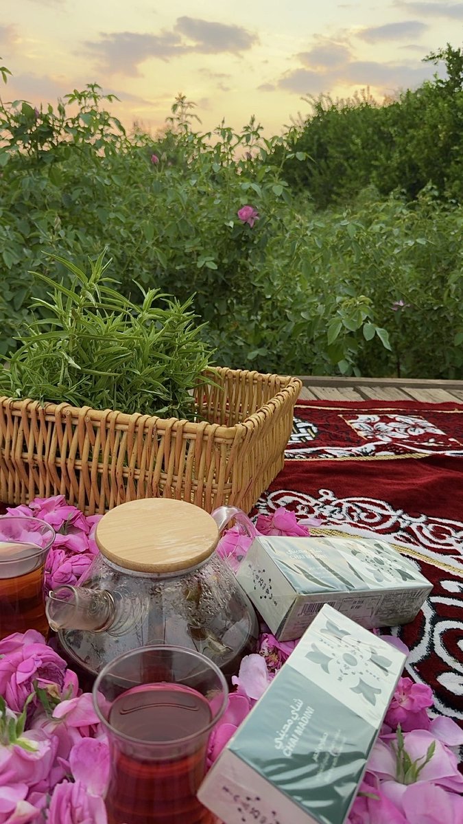 هالوقت اجواء المزارع والنخيل متعتة 😍🌴🌧️لحظات صفاء للذهن وراحة ماتتفوت 🍂🍁🌱

#محايل #بارق #مجارده #رجال_المع #أبها #خميس_مشيط