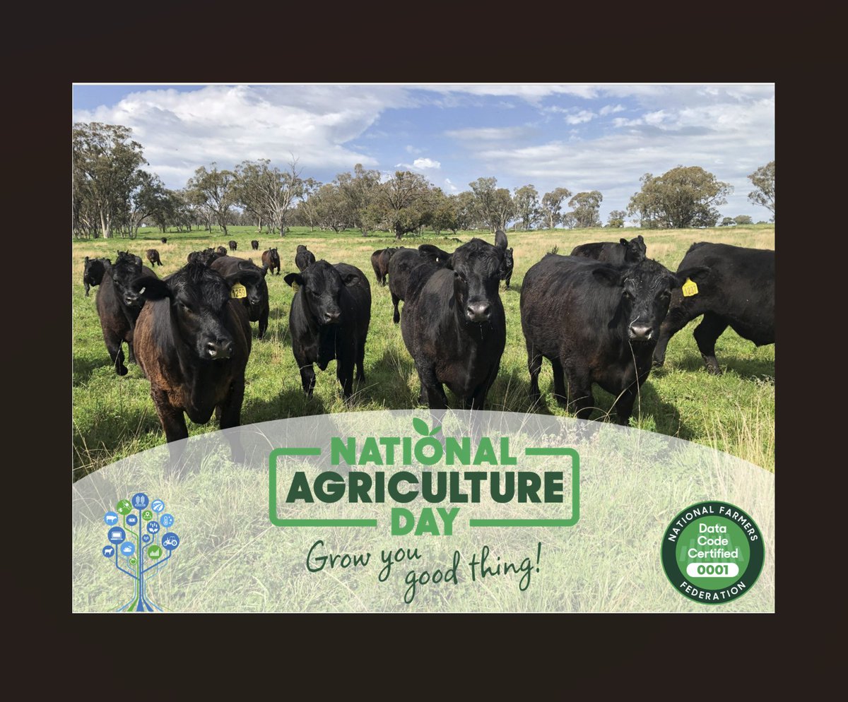 Pairtree Intelligence tweet media