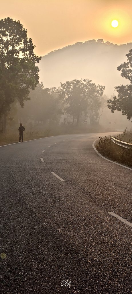 itzchampak's tweet image. ଶୀତୁଆ ସକାଳ, ସୁନେଲି କିରଣ ଆଉ କାଲୁଆ ପବନ... 🥶😍