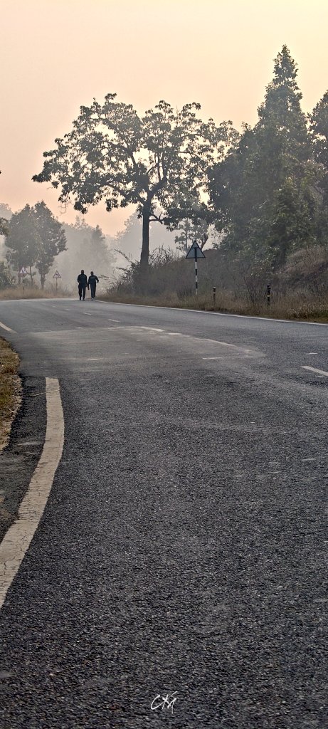 itzchampak's tweet image. ଶୀତୁଆ ସକାଳ, ସୁନେଲି କିରଣ ଆଉ କାଲୁଆ ପବନ... 🥶😍