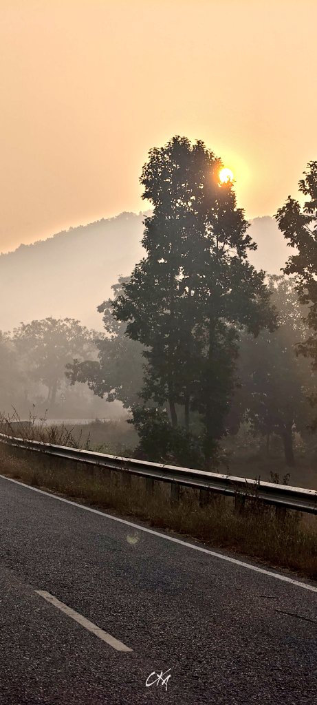 itzchampak's tweet image. ଶୀତୁଆ ସକାଳ, ସୁନେଲି କିରଣ ଆଉ କାଲୁଆ ପବନ... 🥶😍