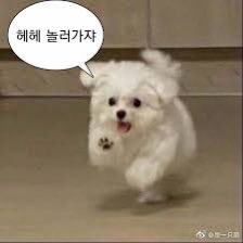 🙌레주파 생일파티에 아직 신청 안하신 언니들 주목🙌

🌈다음주 토요일🌈
레주파의 스무 번째 생일파티에 오시면
역대 활동가들의 축하메세지를 들어보실 수 있다는데..!!
+ 어쩌면 실물을 만나보실 수 있을지도..(!)

✨신청: forms.gle/5Fabh3Eq2aNRjy…✨