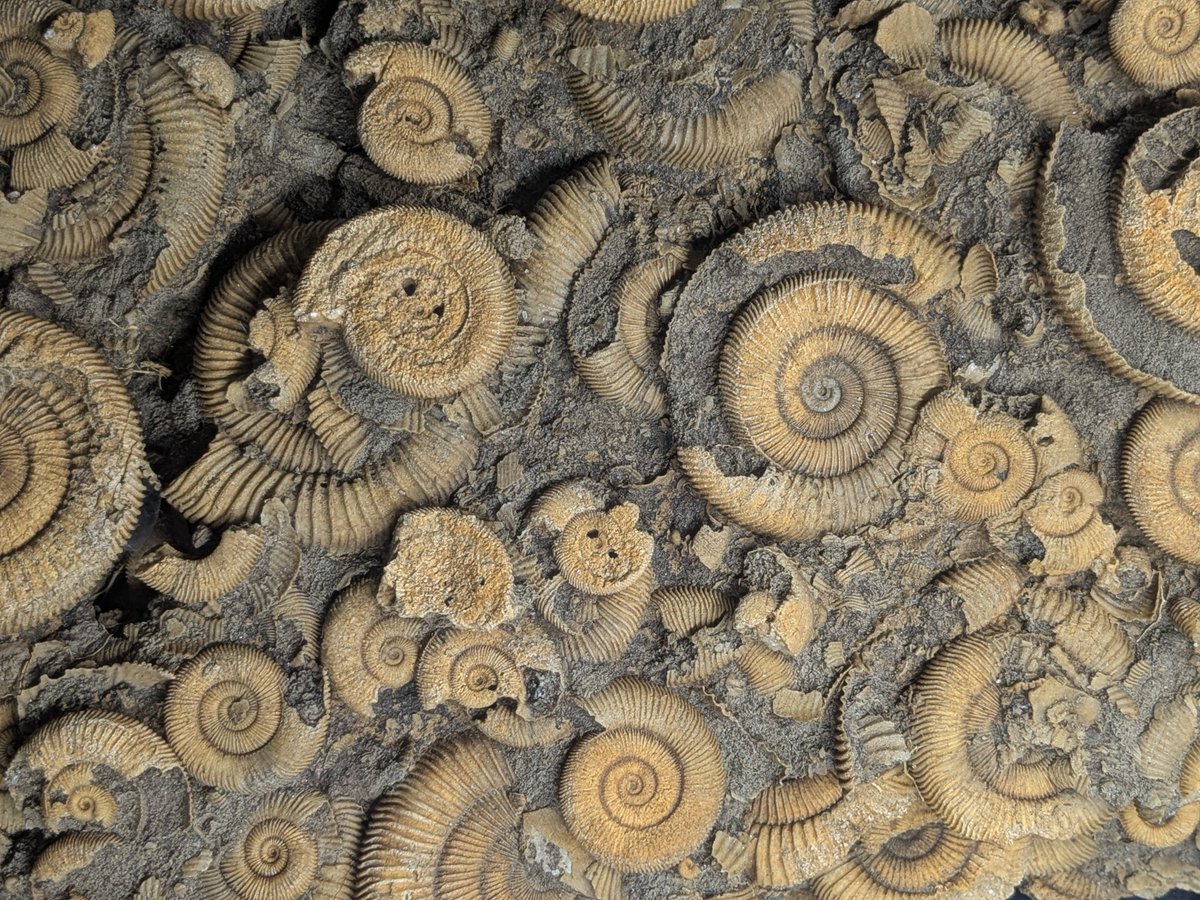 プエンテ (@y3puente) / Posts / X