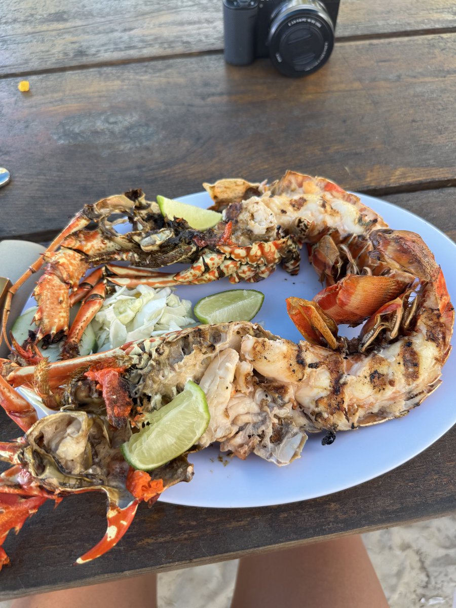 EveDevilish tweet media