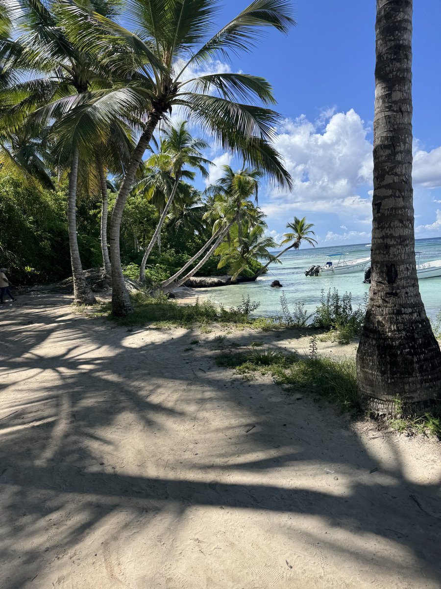 EveDevilish tweet media