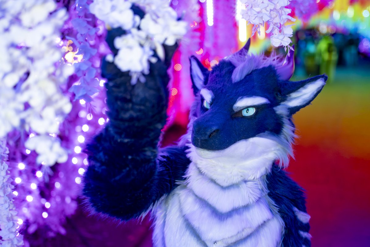 Colorful path 
#Kemocon18
#FursuitFriday