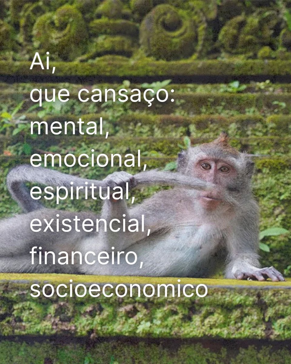 cafedas15h's tweet image. 