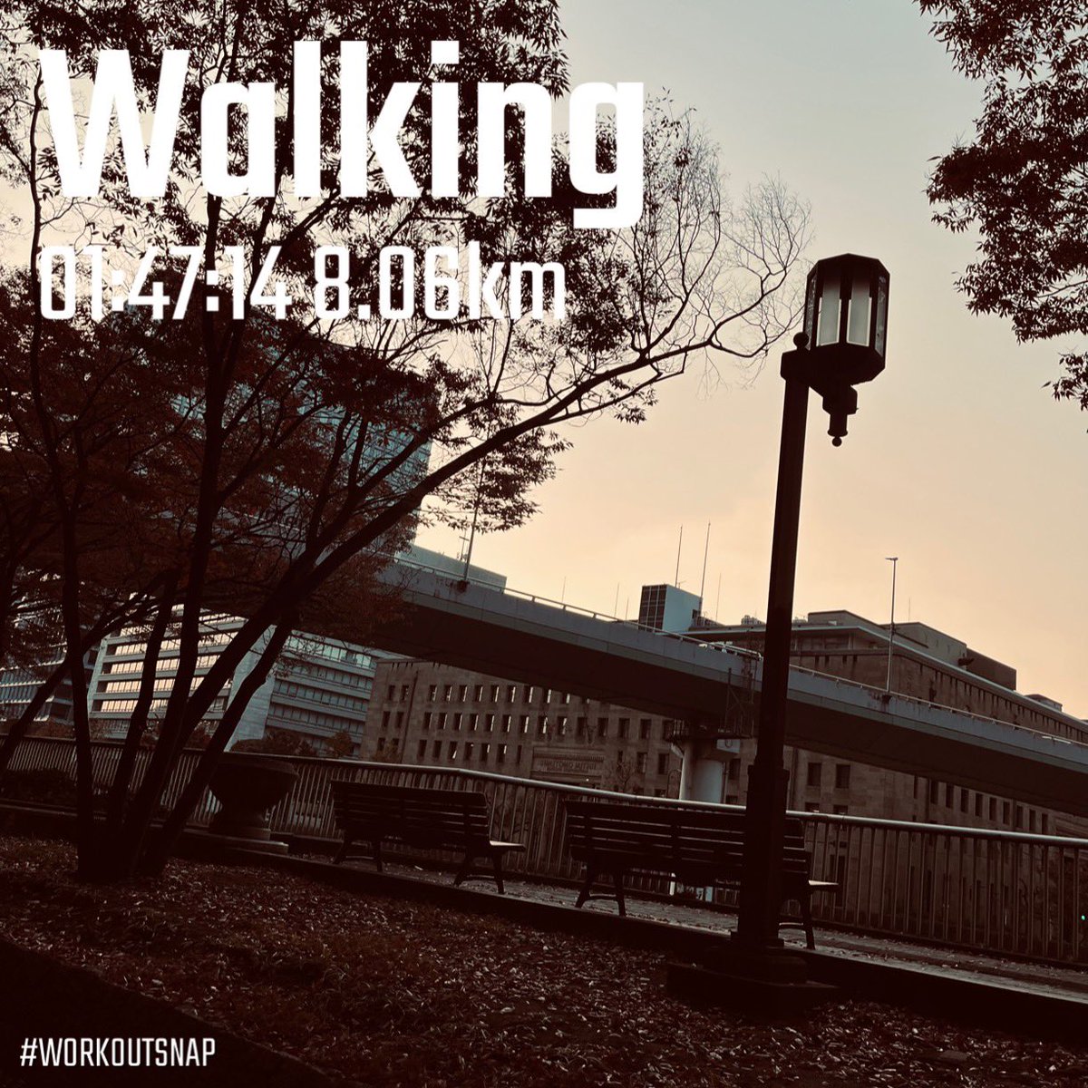 朝ウォーキング🚶☀️

すすむこと
時計の針はもどらない
決意だけが先行する
瞬く間に過ぎ去る
とおくとおく
その想いとは
消え去るまで願う

#ウォーキング
#朝活