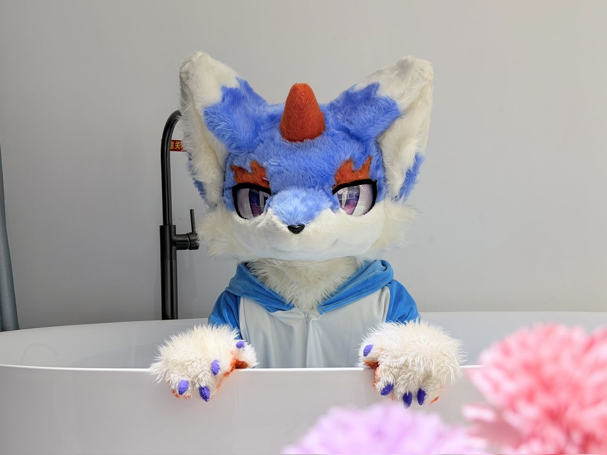 RagdollMeow tweet media