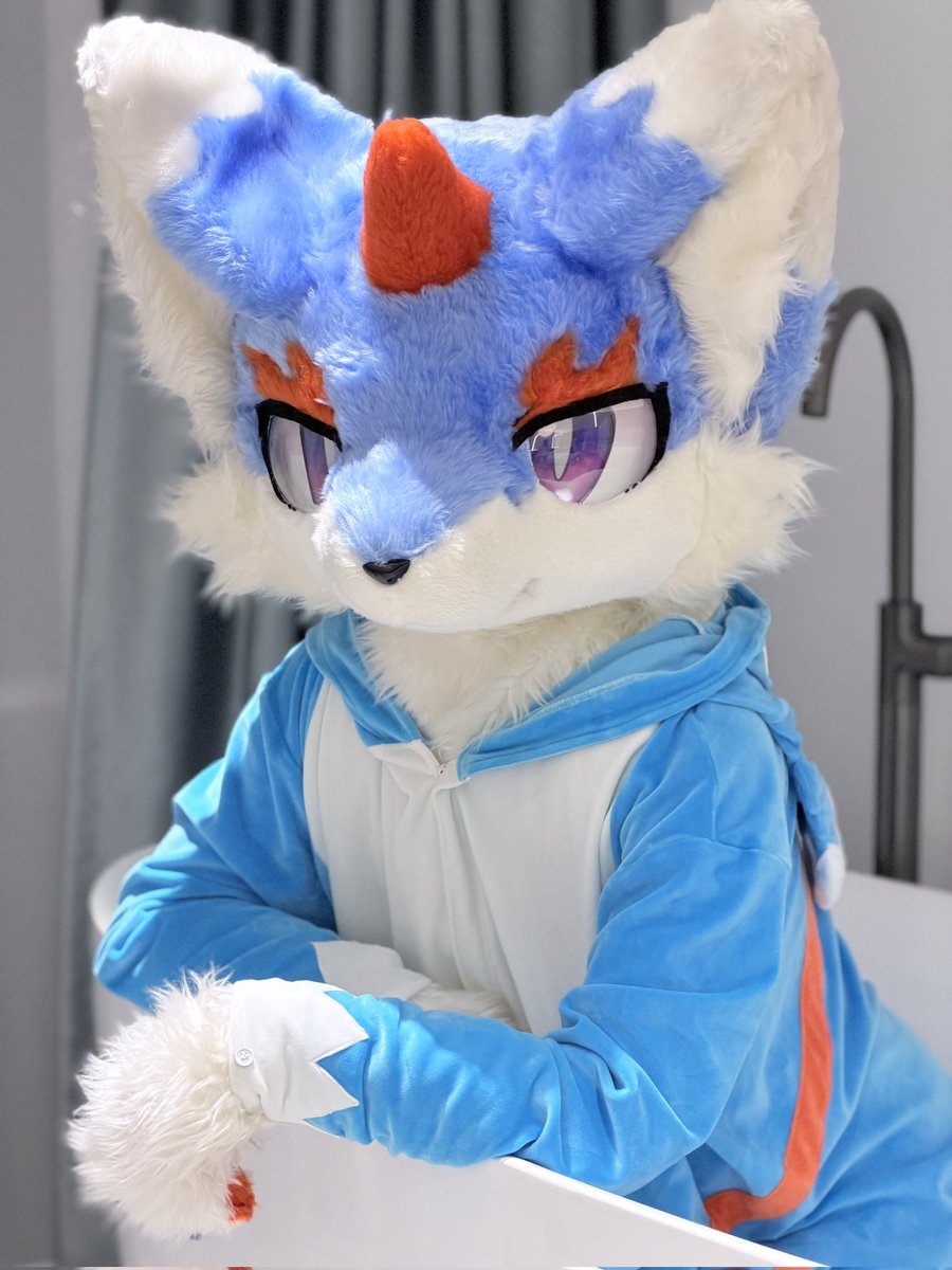 RagdollMeow tweet media