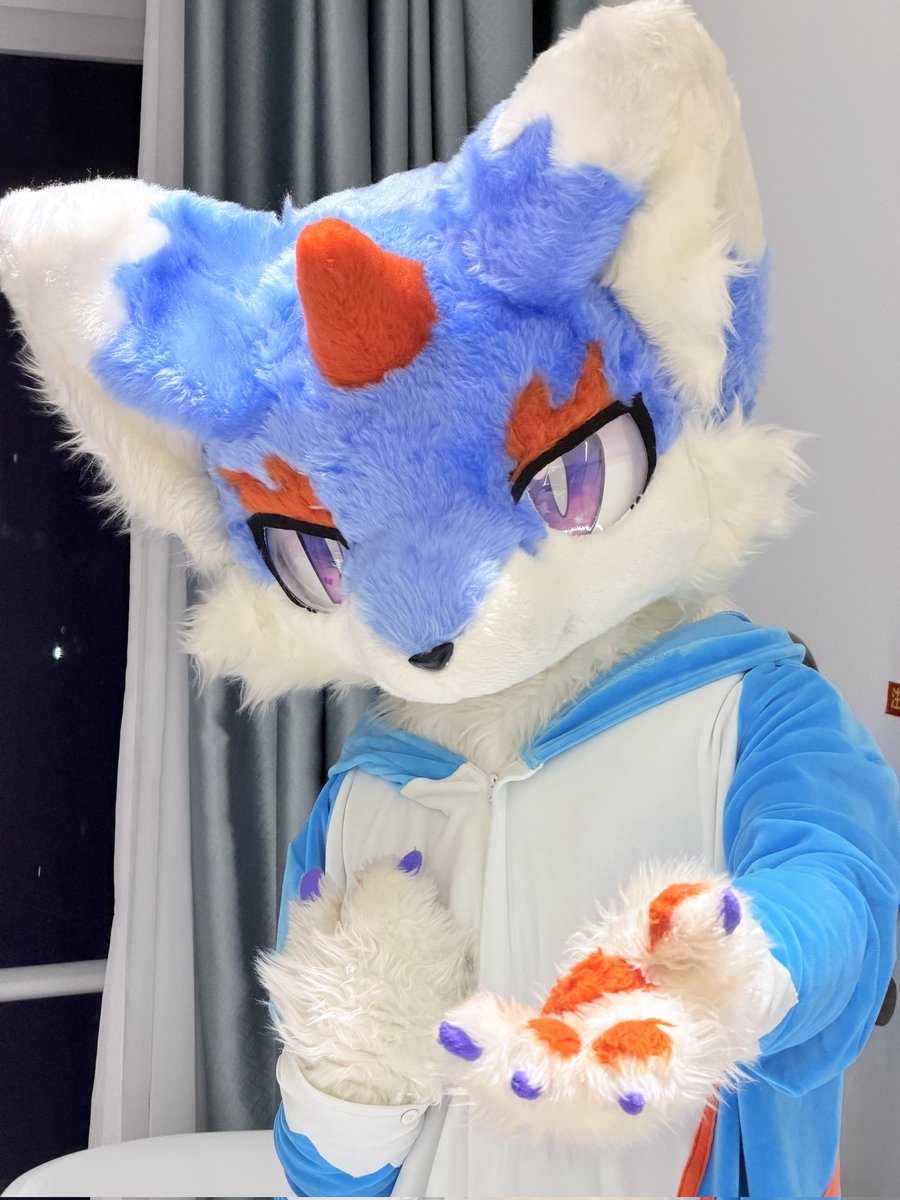 RagdollMeow tweet media