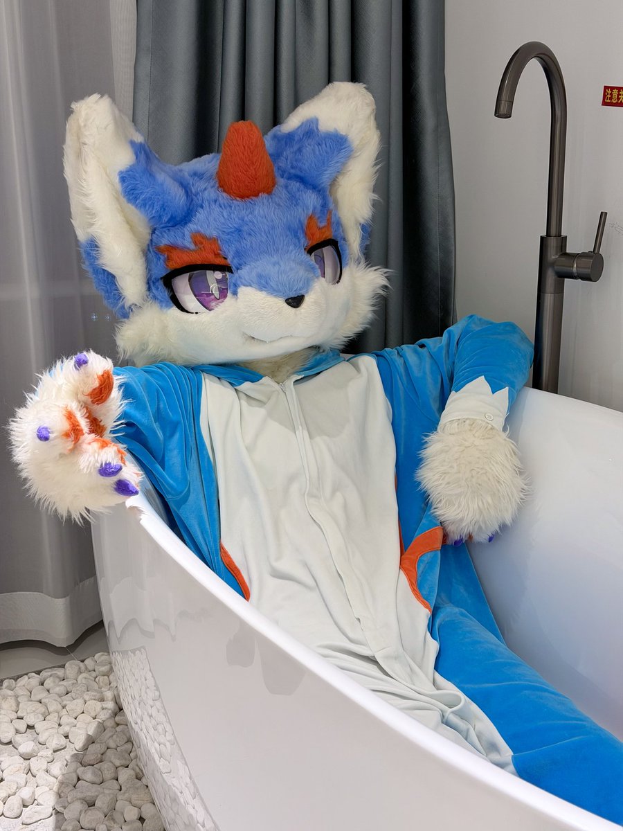 RagdollMeow tweet media