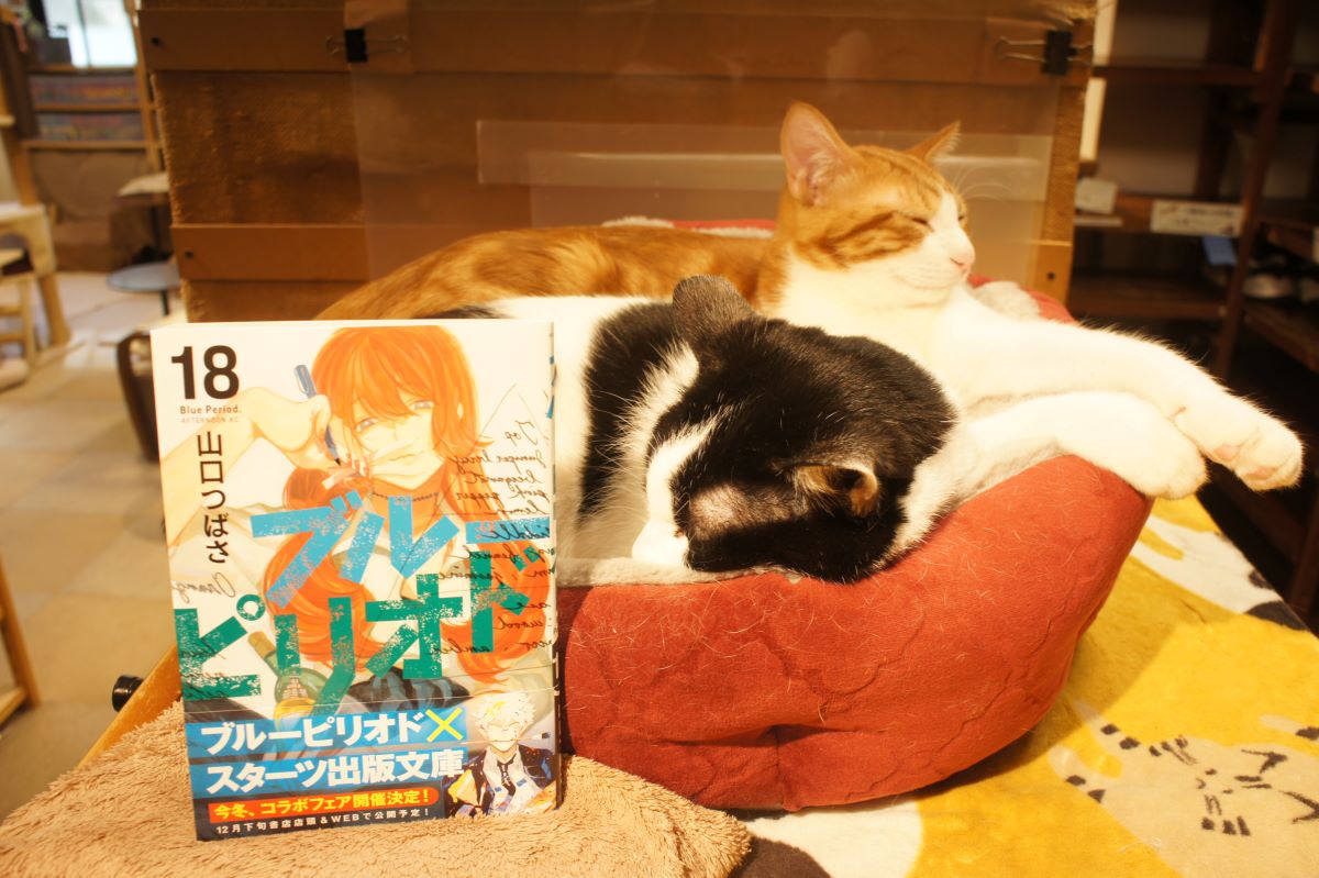 開店前、こんぶとはるまきがぎゅうぎゅうに詰まってました 新刊入荷