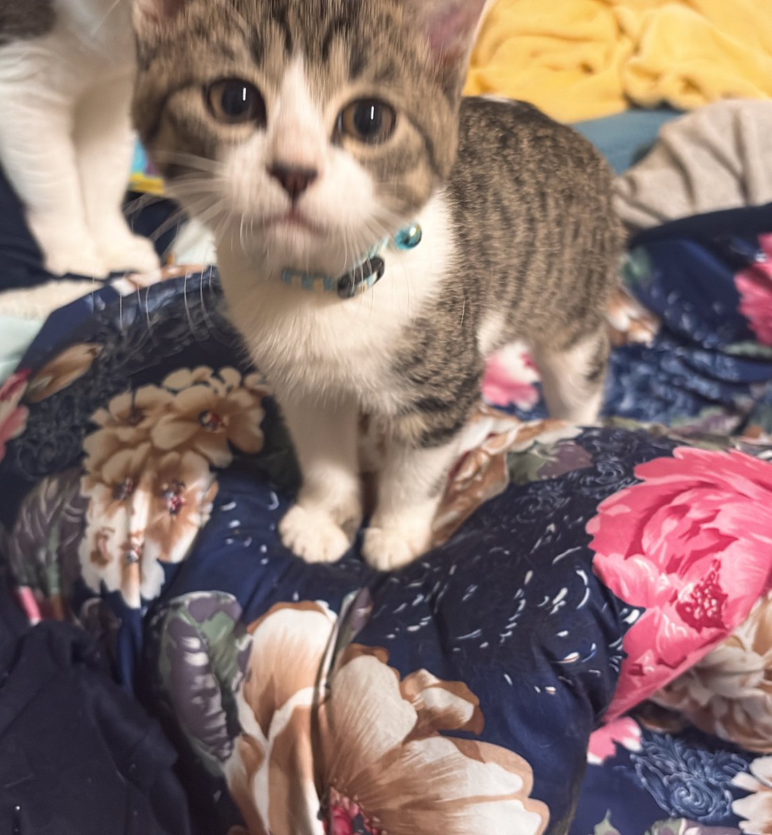 pipipi_18's tweet image. 2024←  →2025