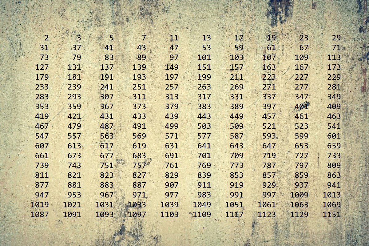 Math.

Prime numbers feel like the universe whispering that it still keeps some secrets just for itself.