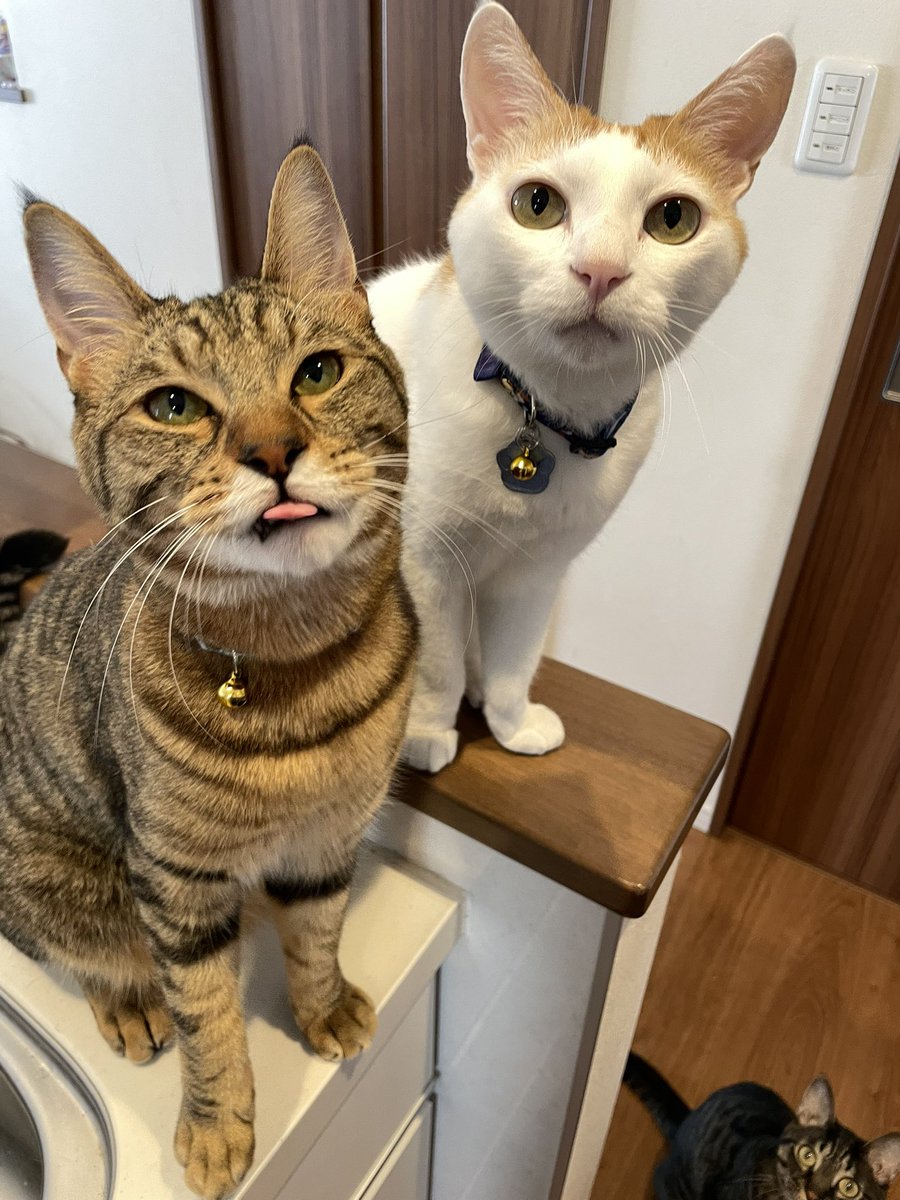 むぎ (@mugi411) / Posts / X