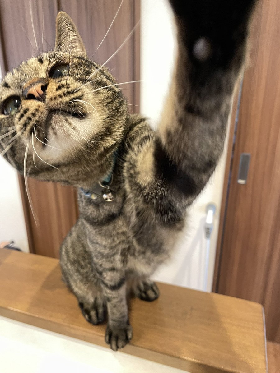 むぎ (@mugi411) / Posts / X