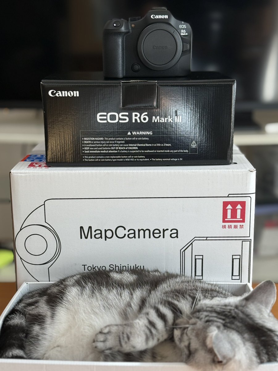 odoru2001's tweet image. 新しいカメラが届きました！
動画機能がめっちゃ進化したらしいので、さっそく撮影の練習や🎥
#eosr6mark3
#canon 
#キヤノン
#マップカメラクオリティ #PR @mapcameraより