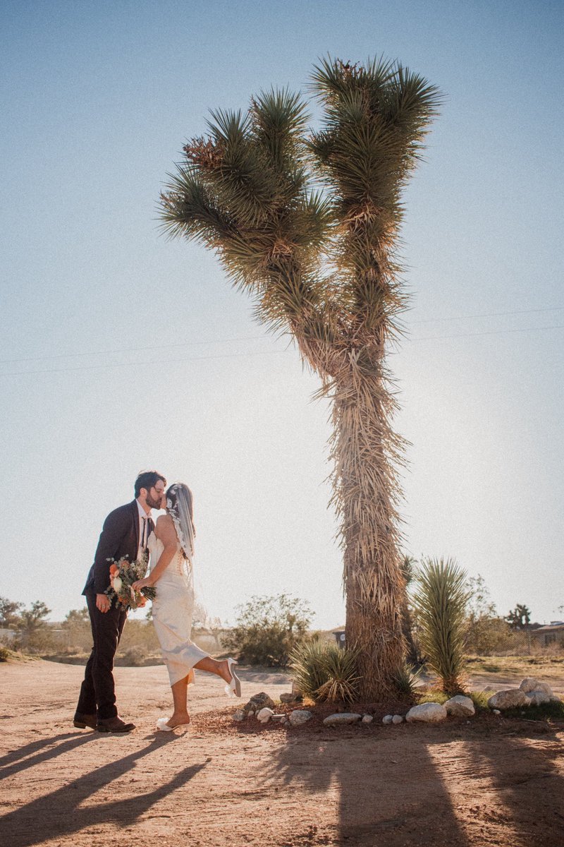 coltonsshot's tweet photo. Desert wedding 🏜️

https://t.co/ZaPtROUm92 https://t.co/vSXVwXzDyv