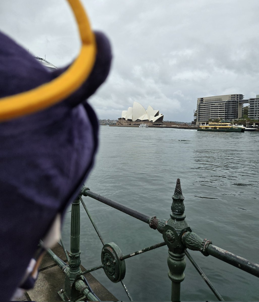 Feeling_Koji's tweet image. Sydney Ope-wah house #TAKOTIME 💜