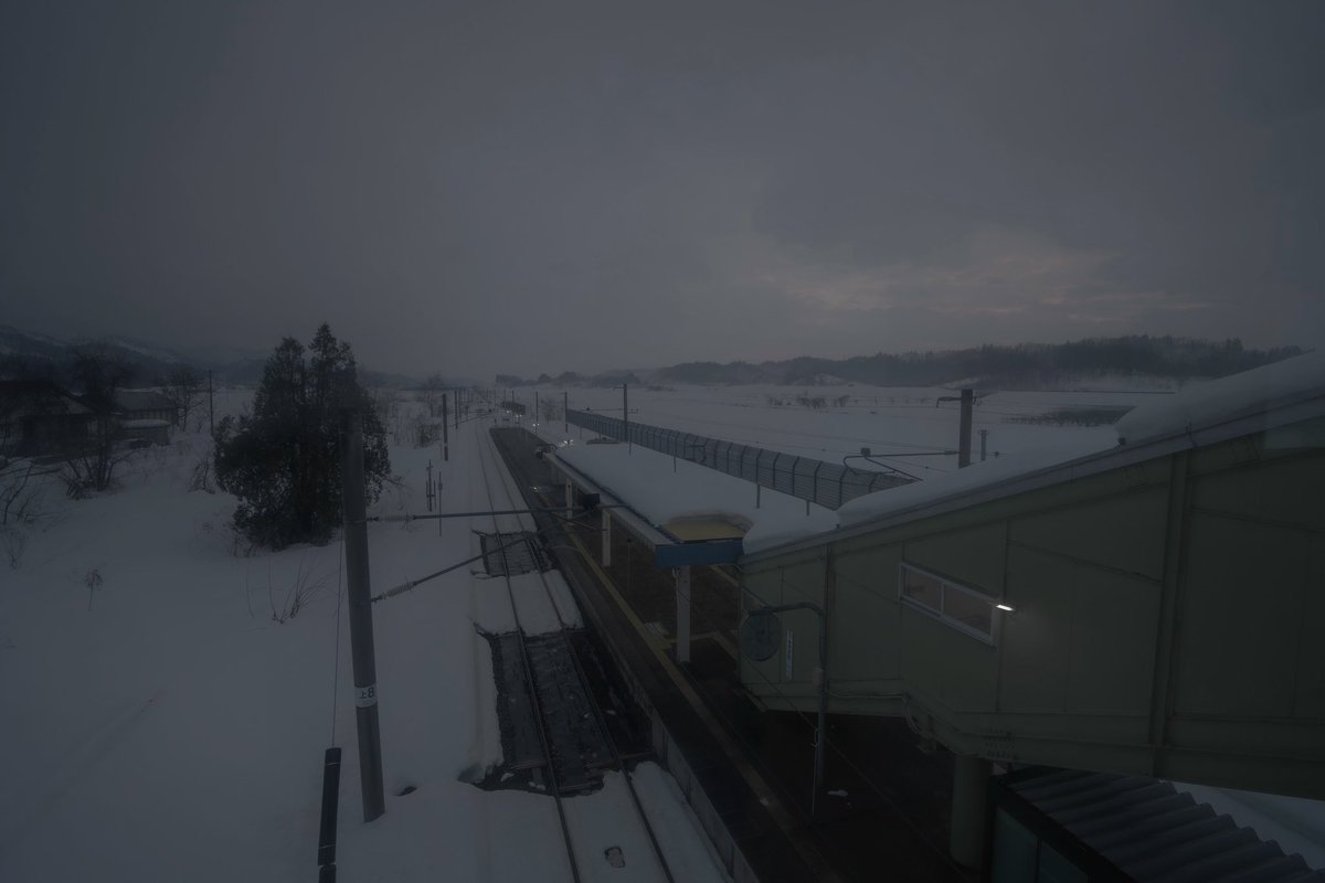 n55_pafu's tweet image. 