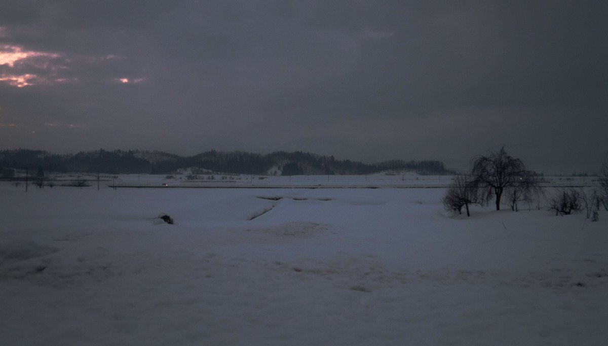 n55_pafu's tweet image. 