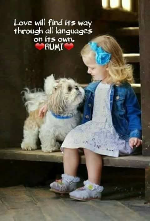 Betty22754996's tweet photo. No D.M.
No lists. https://t.co/fAoN7LaoAl