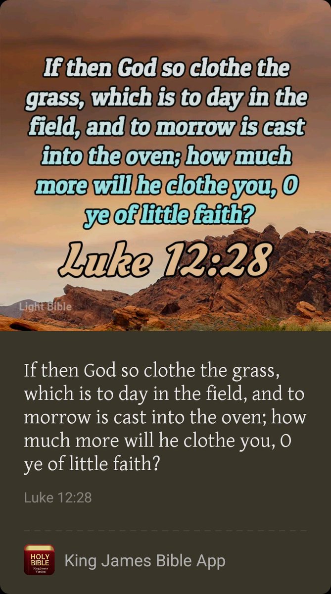 tonytone.sol (@hollaattonytone) on Twitter photo 