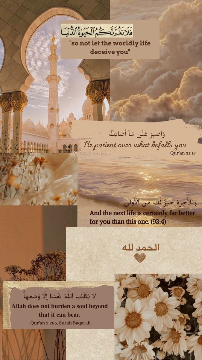 Sadia Asim tweet media