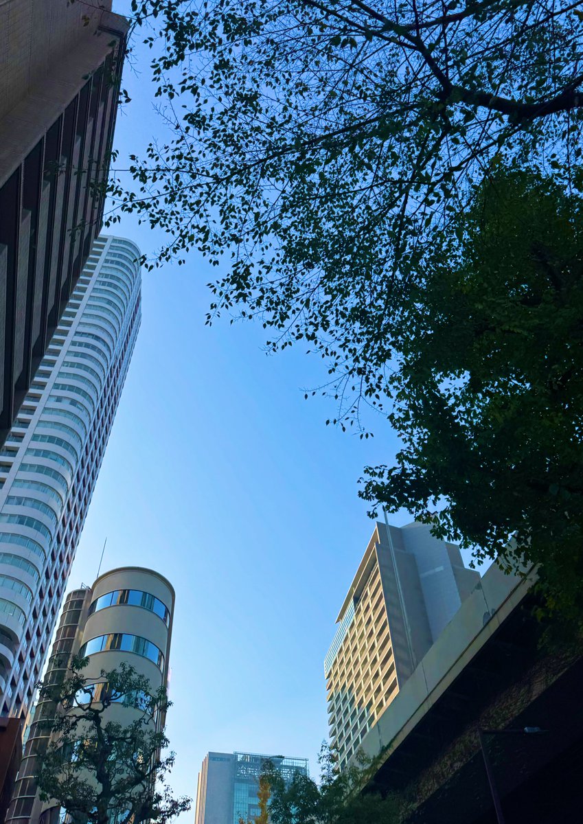 さっちゃん (@sa_chan40) / Posts / X