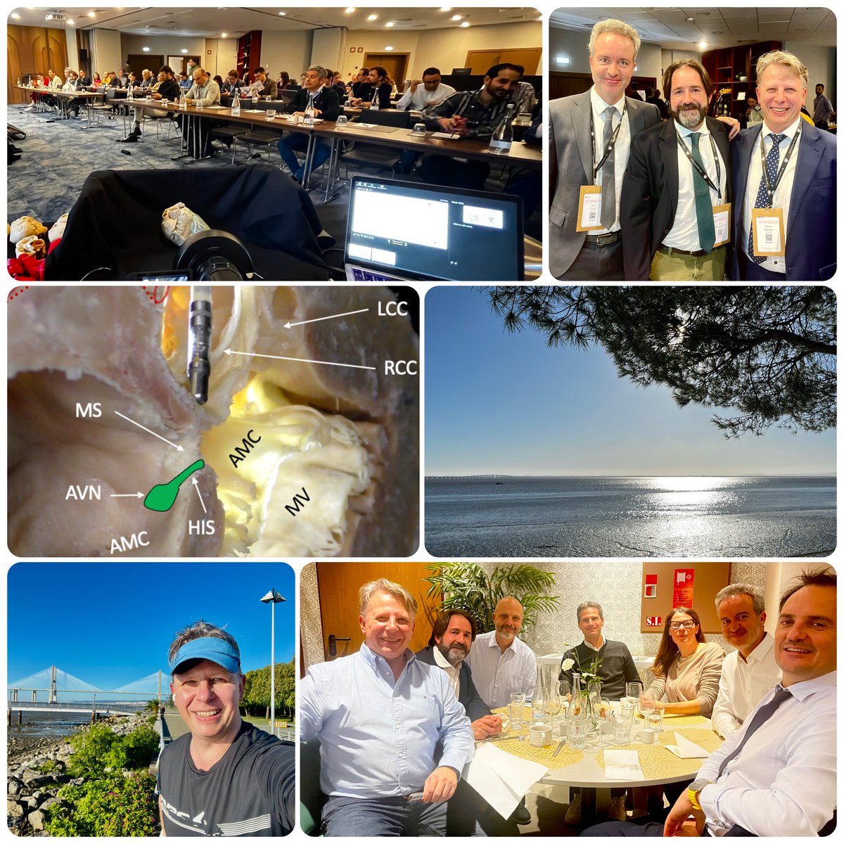 Maxim Didenko, MD PhD tweet media