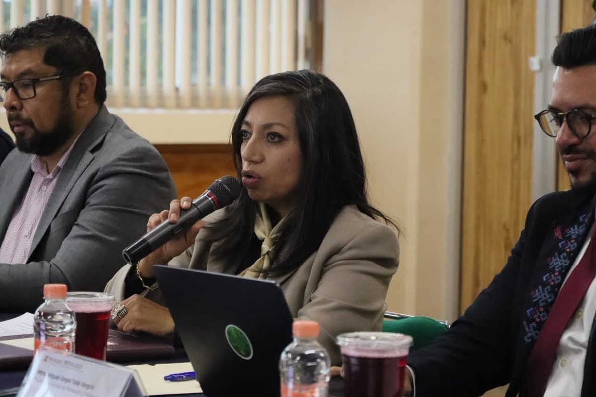 Movilidad Hidalgo tweet media