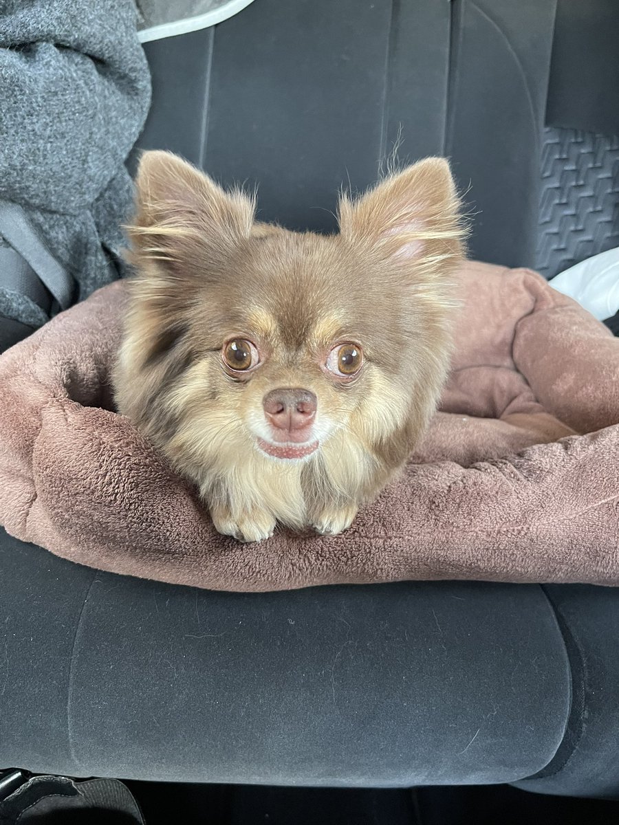 ぴょんぴょんページ ぴょんぴょん🐰💛🌸.* (@shank1130) / Posts / X