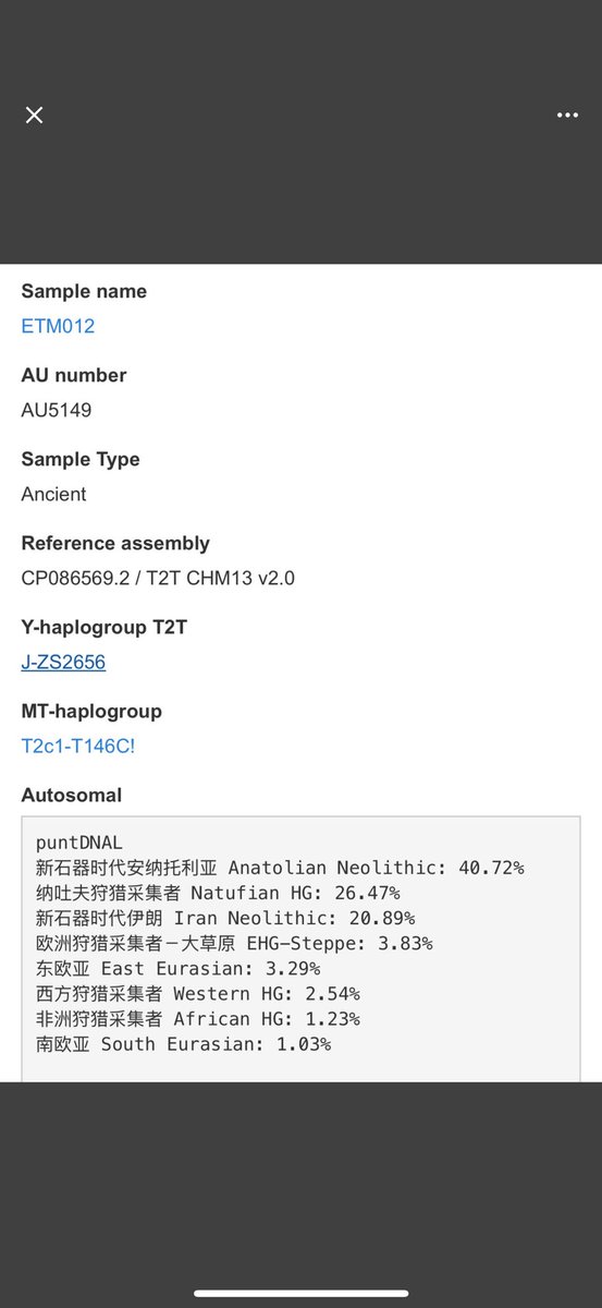 التركيبة الجينية للساميين حملة J-P58 الأوائل نسبة المكون النطوفي ٢٦٪ و الزاغروسي ٢٠٪ مع وجود مزارعي الانضول عالي ٤٠٪ و مكونات أخرى مرتبطة بشمال القوقاز... غالبا هاجر هؤلاء جنوبا لاكتساب مكون نطوفي أعلى .
<a href="/Sulkalmakh/">Ancestral Whispers</a> نتمنى تصميم لشكل جمجمته