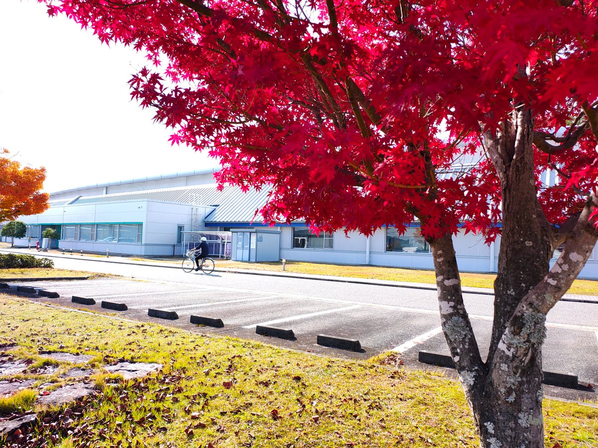 MacroSolLab's tweet photo. 先週末に SPring-8 で小角散乱実験を行いました。入射器のトラブルにより万全とはいきませんでしたが、多くのデータを取得することができました。D3・M2 の方々には、これから研究をしっかり仕上げていただければと思います。 https://t.co/oFOJX3bPcg