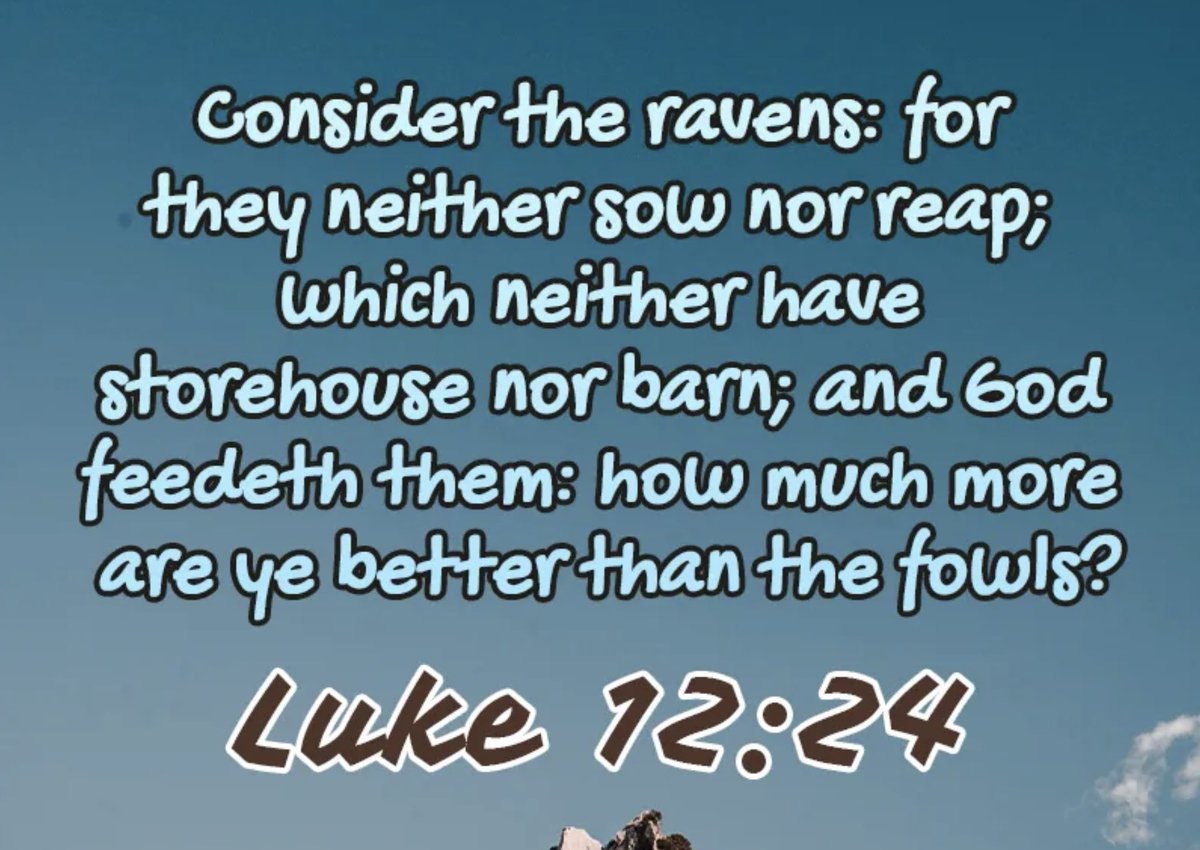 eepdllc's tweet image. Let’s remember when we build a relationship with God he is with us. He won’t let us fall. Take solace in him, have faith in him, let him be your peace. Take your anxieties to God. This is exactly what he instructed us to do.