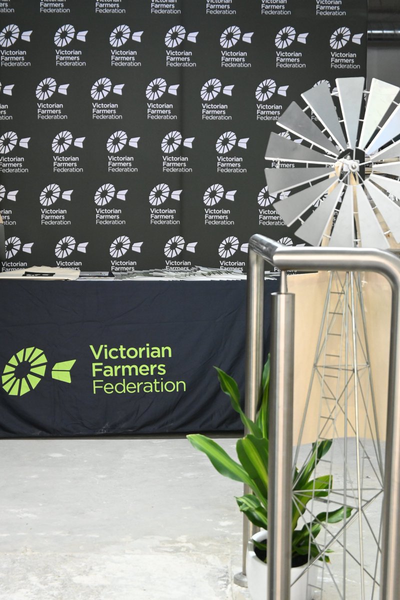 OUR FIRST DAY FARM SHOP WAS A SUCCESS! Back open again today 9am to 3pm, Ground Floor, 24 Collins St next to Haigs.@vicfarmersmarkets
@schulzorganicdairy
@longpaddockcheese
<a href="/divinemushrooms/">Grace</a>
@originalspiritco
@peerickwines
@lisadurne_hill
<a href="/collins_honey/">Honey Collins</a>
<a href="/m/">Mika</a>.r.lamb
@bendigogfpasta