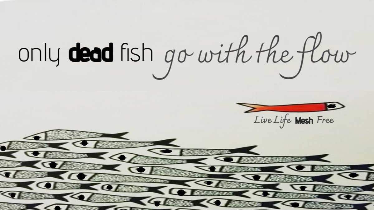 JanUrban12's tweet image. Independent thought is hard and liberating, thoughtless acceptance is easy and enslaving. Never let D E N I A L go Unchallenged. There is No Safe Mesh. Google Mesh Support Groups for Info and Support. Mesh Awareness