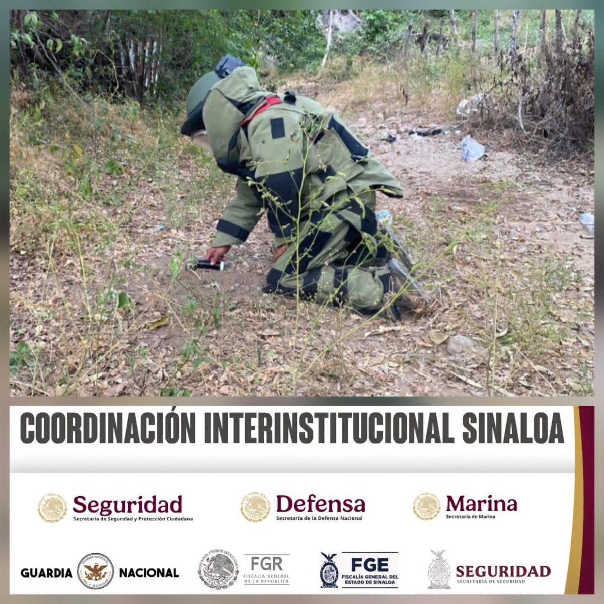 sspsinaloa1's tweet image. Grupo Interinstitucional localiza y destruye 146 artefactos explosivos en San Ignacio

Personal del Ejército Mexicano, en coordinación con la Guardia Nacional, la Secretaría de Marina, la Secretaría de Seguridad y Protección Ciudadana, la Fiscalía General de la República, la…