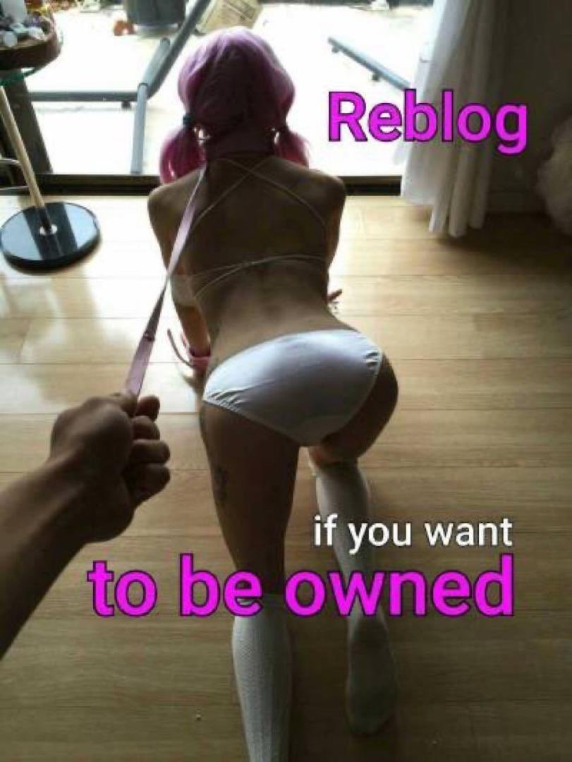 for_slut43786's tweet photo. Yes you should and DM me 🥵🥵🥵 https://t.co/gtYwj5A5pu